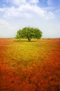 CorebeliefsCBT Core Beliefs in CBT   Identifying And Analysing Your Personal Beliefs