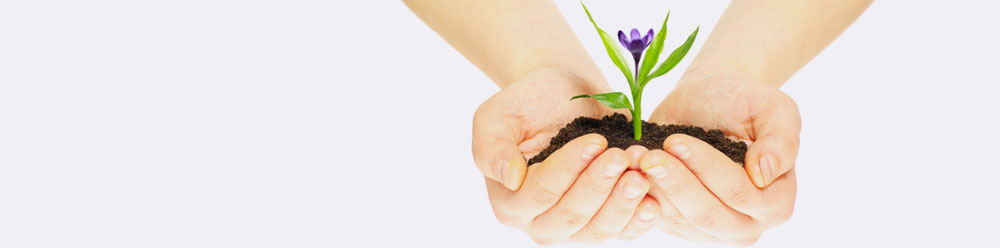 Seedling depicting gender identity counselling in London