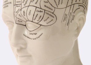 Phrenology head depicting panic disorder counselling in London