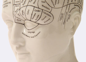 Phrenology head depicting IQ testing in London