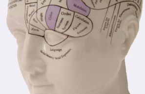 Phrenology head depicting therapy for trichotillomania in London