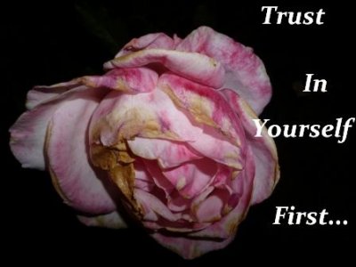 rebuilding trust 