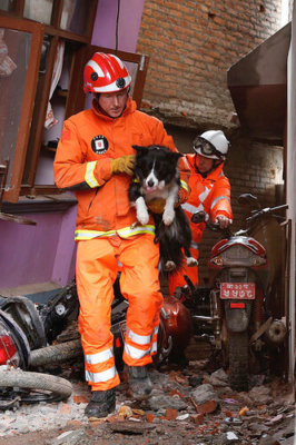 A fireman rescued dog