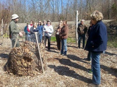 horticultural therapy