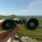 grass is greener syndrome