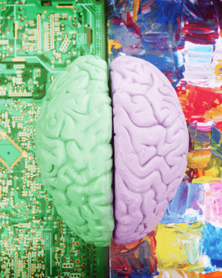 Autism and ADHD occur together commonly