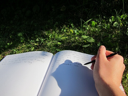 How to Use a Self-Help Journal to Improve Your Moods - Harley