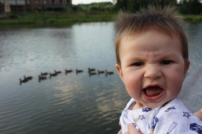 parental stress and children 