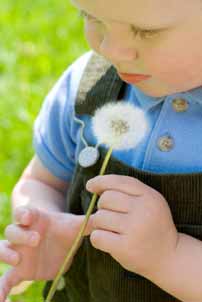 Child with leaf denoting attachment theory and principles