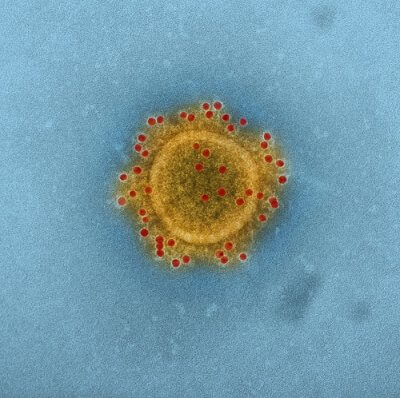 coronavirus and children